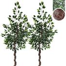Kit 8 Ficus Artificial Verde Planta Decoração Sem Vaso Kit 8 Ficus Artificial Verde Planta Decoração Sem Vaso