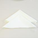 Kit 8 Pçs Guardanapo 8 Lugares Basic 35x35cm Liso Tecido - Valle Distribuidora