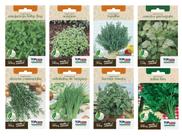 Kit 8 Sementes de Horta Temperos Alecrim Cebolinha Hortela Manjericao Oregano Tomilho Coentro Salsa Natural