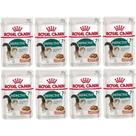 Kit 8 Unidades Sachê Instinctive 7+ Gato 85g Royal Canin