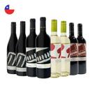 Kit 8 Vinhos Chilenos Pinot Noir Carmenere Cabernet e Sauvignon Blanc 750ml