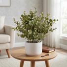 Kit 9 Buquês de Folhas de Eucalipto Artificial Decoração Moderna e Duradoura Kit 9 Buquês de Folhas de Eucalipto Artificial Decoração Moderna e Duradoura