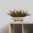 Kit 9 buques folhagem artificial de capim planta permanente para decoração casa ou escritório - DE27065