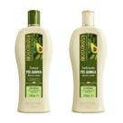 Kit Abacate Jojoba Pós-química Bio Extratus Oficial 500ml