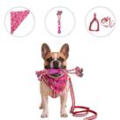 Kit Acessórios Pet Bandana + Brinquedo Mordedor + Coleira para Cachorro e Gato -