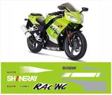 Kit Adesivos Shineray Xy 200 Racing Moto Ny2004
