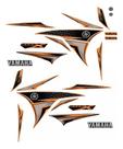 Kit Adesivos Yamaha Xtz 250 X