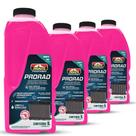 Kit Aditivo de Radiador Proauto PRORAD com 4 Lts