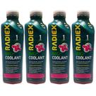 Kit aditivo protetor radiador concentrado rosa radiex 4 litros - kit00504