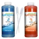 Kit Ajustador de pH Up e Down Dave Ocean 300 ml para Hidroponia Kit Ajustador de pH Up e Down Dave Ocean 300 ml para Hidroponia