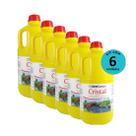 Kit Alcon Labcon Garden Cristal 5L Com 6 unidades