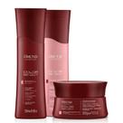 Kit Amend Color Reflect - Shampoo Condicionador e Máscara Para Cabelos Coloridos Ou Com Mechas