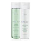 Kit Amend Essencial Antiqueda (Shampoo e Máscara)