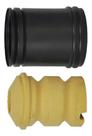 Kit Amortecedor Dianteiro Bmw Série 3 98/05