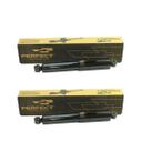 Kit amortecedor traseiro fiorino evo 2013 ate 2020