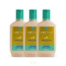 Kit Aneethun 3 Cremes de Silicone Cachos Linha A Pronta Entrega