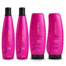Kit Aneethun Color System - Shampoo 300ml (2Un) + Máscara 250g + Finalizador 250g