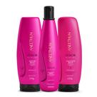 Kit Aneethun Color System - Shampoo 300ml + Máscara 250g + Finalizador 250g