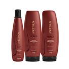 Kit aneethun force shampoo + mascara + finalizador - 3 itens