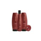 Kit Aneethun Force System Completo Shampoo + Máscara + Finalizador + Dose Concentrada