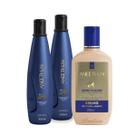 Kit Aneethun Linha A com 2 Shampoo 300ml + 1 Creme de Silicone 250ml