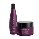 Kit Aneethun No Frizz System Shampoo 300ml + máscara 250g
