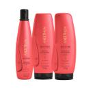 Kit Aneethun Restore System Shampoo 300ml+Máscara 250g+Finalizador 250g
