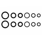 Kit Anéis Oring Blukit Para Registros E Torneiras 100812