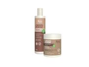 Kit apice crespo power shampoo 300ml e creme de pentear 500g