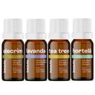 Kit Aromaterapia 4 Óleos Essenciais Lavanda Francesa, Hortelã Pimenta, Alecrim, Melaleuca Tea Tree