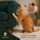 Kit Arranhador Protetor Adesivo Gatos Pet Sofá, Cama e Moveis Premium 30X50cm + BRINDE
