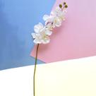 Kit Atacado 9 Orquídeas Artificiais Brancas Aveludadas Grandes Formosinha