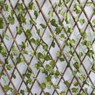Kit Atacado com 6 Treliças de Madeira com Folhagem para Muro Verde Permanente