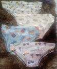 Kit Aventura e Conforto: 6 UN, Cuecas Slip Infantis Estampadas!