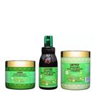 Kit Baba Quiabo premium coiffer 3 passos Hidratação Nutrição