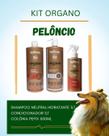 Kit Banho Pet Peloncio Organo 1L Vip Shampo/cond/perfume