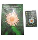 Kit Baralho das Almas e Livro Sonia Boechat Salema Kit Baralho das Almas e Livro Sonia Boechat Salema