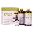 Kit Barroco Forte Fortalecimento E Crescimento Capilar 500ml