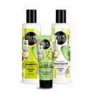 Kit Básico Cabelo Crespo Organic Shop