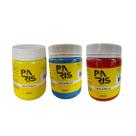 Kit Básico Primário Tinta Acrílica Artística Paris Premium 250ml