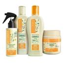 Kit Bio Extratus Camomila e Girassol Sh+Cond 250ml+Banho de Cr 250g+Finalizador 100ml