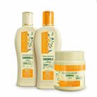 Kit Bio Extratus Camomila e Girassol Sh+Cond+ B. Creme 250g Kit Bio Extratus Camomila e Girassol Sh+Cond+ B. Creme 250g