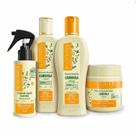 Kit Bio Extratus Camomila e Girassol Sh+Cond+ Fin. Líquido+ B. Creme 250g