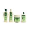 Kit Bio Extratus Jaborandi Sh 250ml + Cond 250ml + BC 250g + Tônico 100ml Kit Bio Extratus Jaborandi Sh 250ml + Cond 250ml + BC 250g + Tônico 100ml