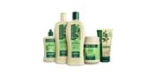 Kit Bio Extratus Jaborandi Sh 500ml+Cond 500ml+BC 500g+Tônico 100ml+Finalizador 450g