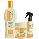 Kit Bio Extratus Shampoo Camomila 250ml + Banho de creme 250g + Finalizador Spray Camomila 100mL Kit Bio Extratus Shampoo Camomila 250ml + Banho de creme 250g + Finalizador Spray Camomila 100mL
