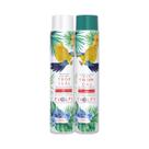 Kit bio-reconstrutor tropical amazon - evolpy liss