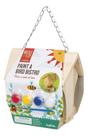 Kit Birdhouse Beetle & Bee Paint a Bird Bistrô com tintas 5+