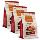 Kit biscoito special dog filhote frutas vermelhas 250g 3 un