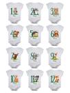 Kit Body Bebê Mesversario Animais da Floresta 12 Bodies de Bebê de 1 a 12 Meses P ao GG